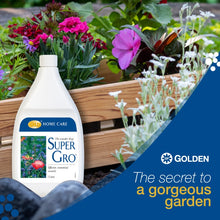 Load image into Gallery viewer, SUPERGRO
